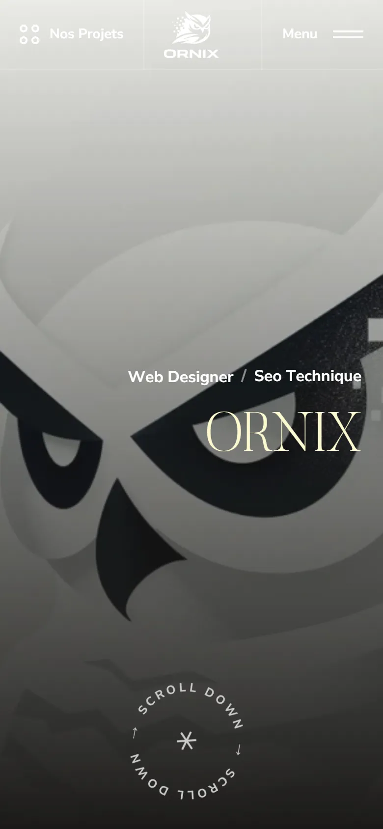 Ornix on mobile: the owl and the ORNIX logo