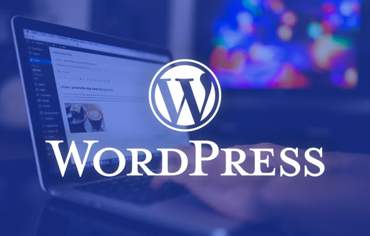 Création de site internet à Mulhouse : un site WordPress qui attire des clients, pas juste une page en ligne